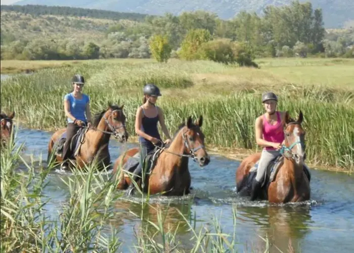 Andrina Apartment Podstrana